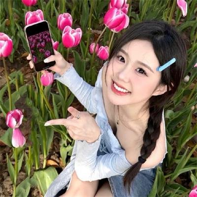 明月守护者